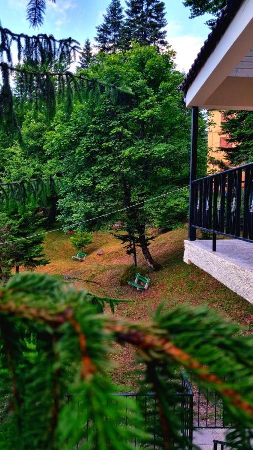 Bujtina Te Grima Hotell