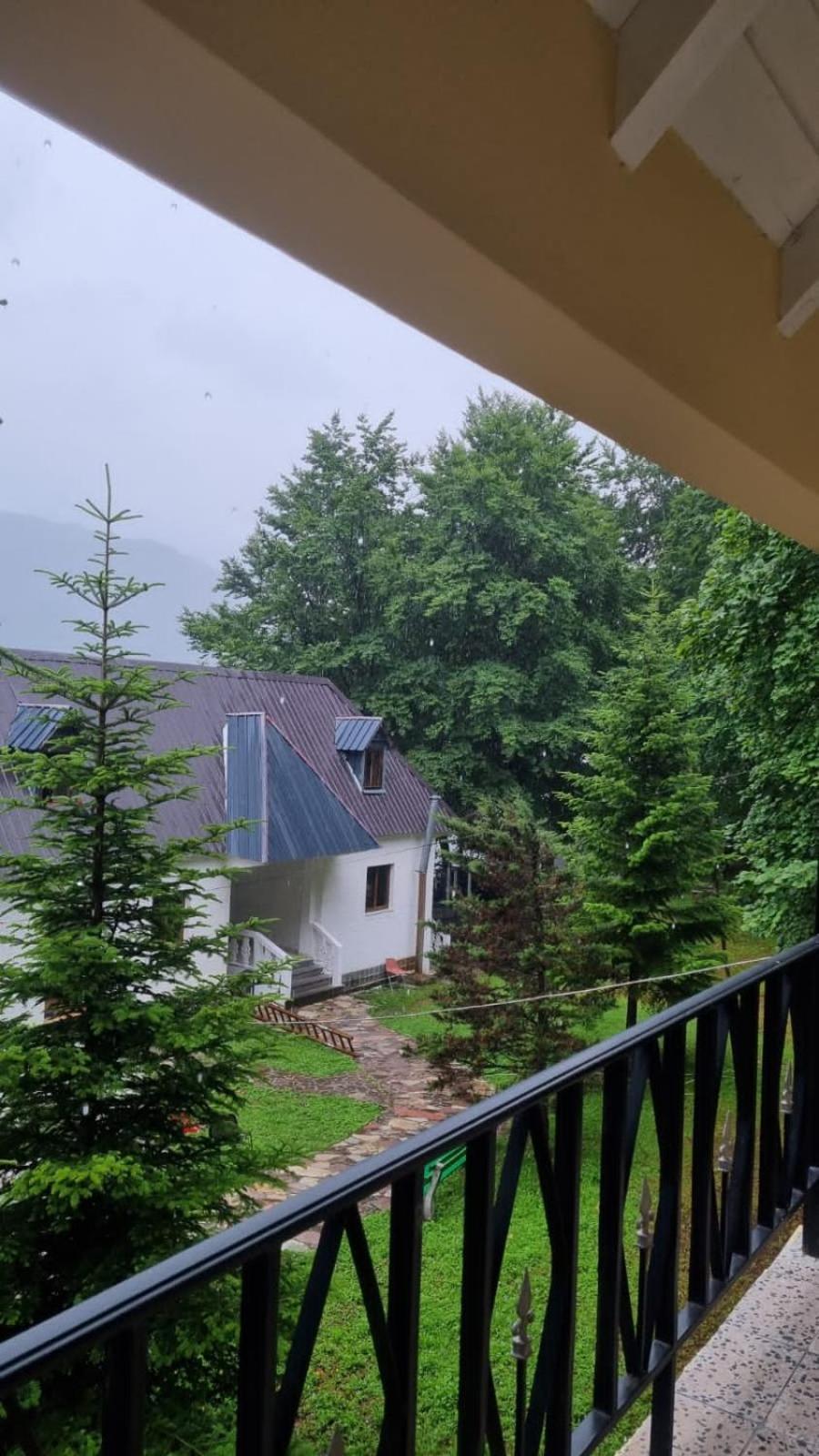 Bujtina Te Grima